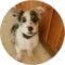 Razaine Avatar